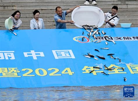 放魚|2024全國放魚日｜「放流」1.8萬條幼魚 望維持香港水域生態平